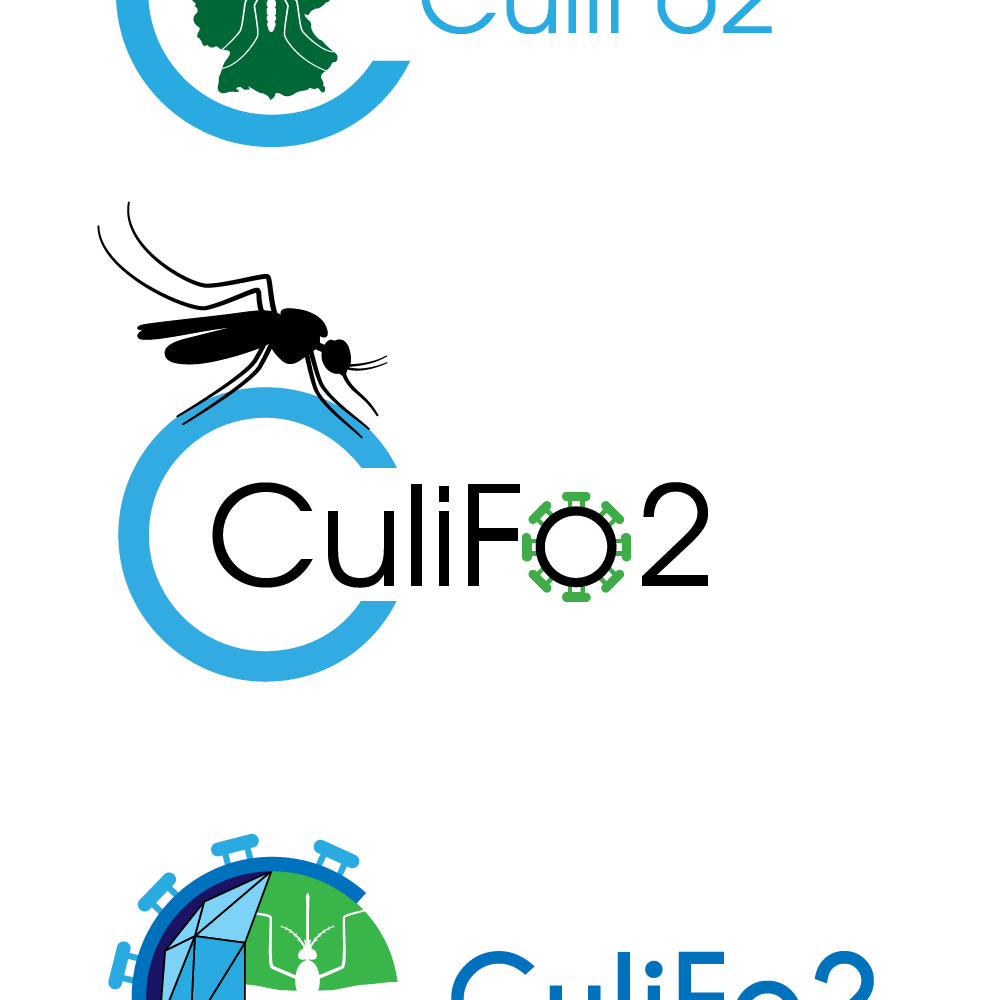 Culifo2