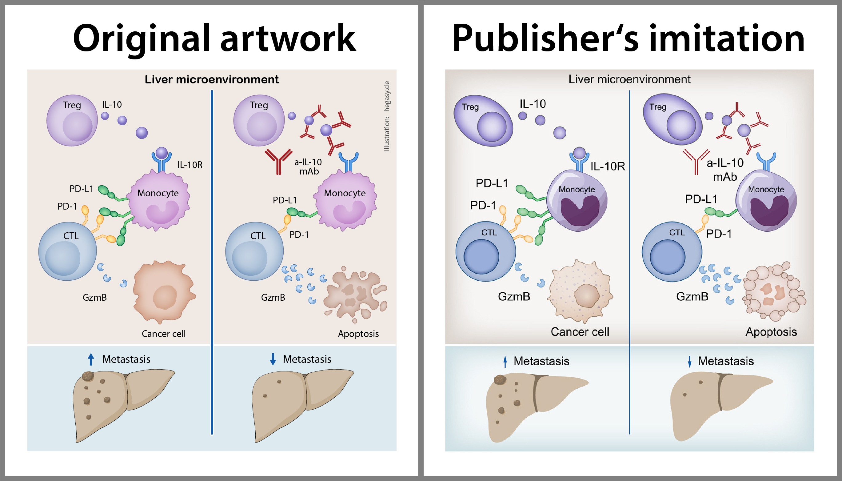 Das original praphical abstract links und die Kopie von Journal of Hepatology rechts.