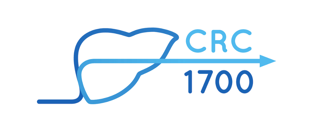 Medizinisches Logo einer Leber Silhouette als blauer Pfeil