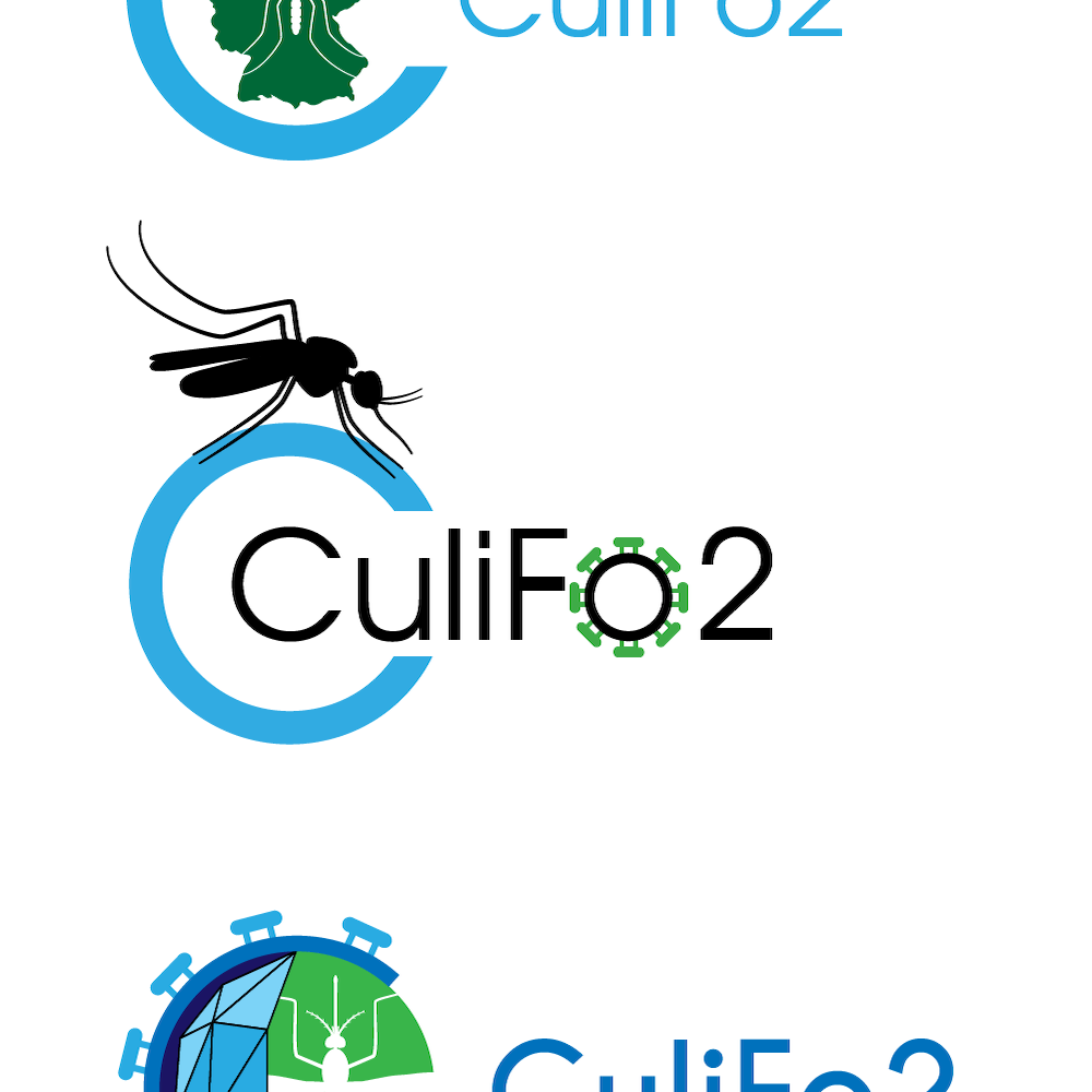 Gestaltung von Logos für einen Forschungsantrag